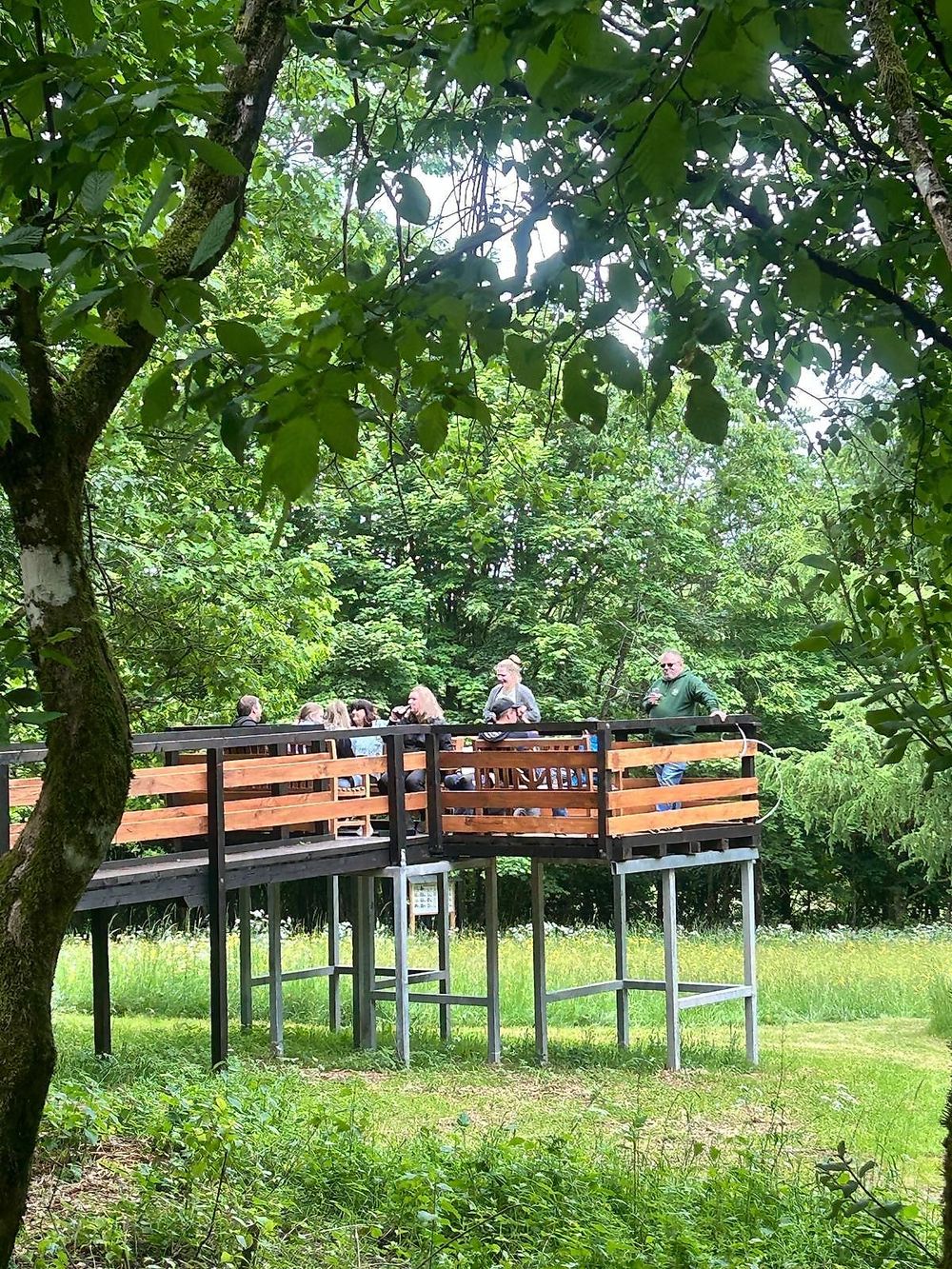 Vogelverein Hermeskeil uciezw
