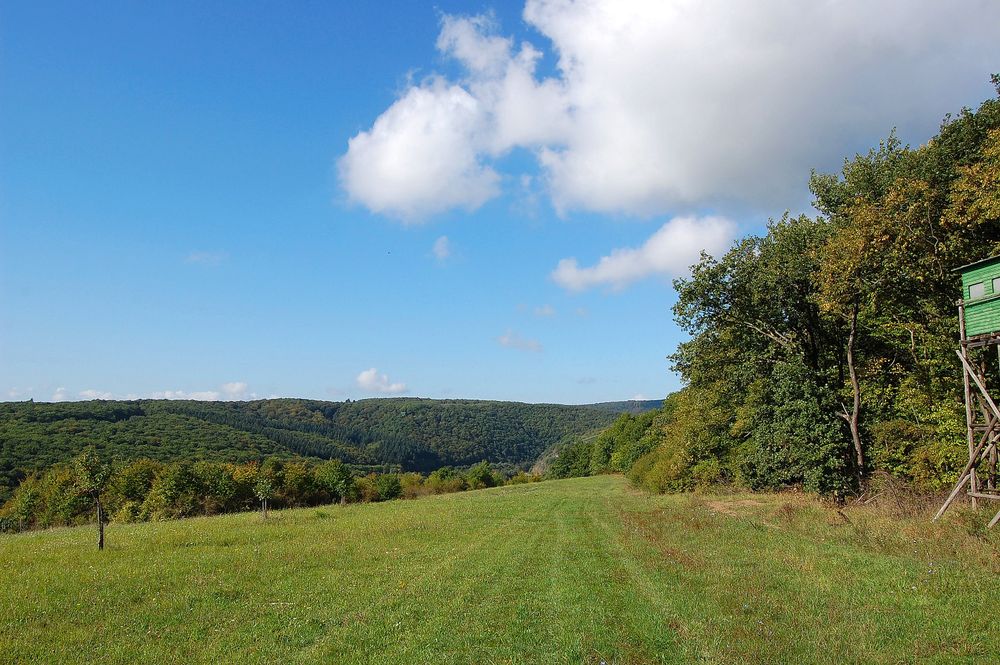 Burgsponheim im Naheland "Rundweg Grafenrunde" v97wkr