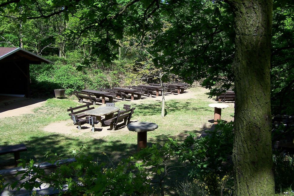 Rundtour Niederhäuser Weinwanderweg tuiamg