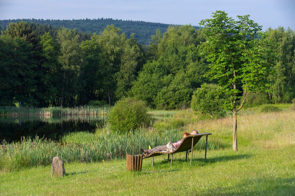 Traumschleife "Zwischen den Wäldern" tsyvfc