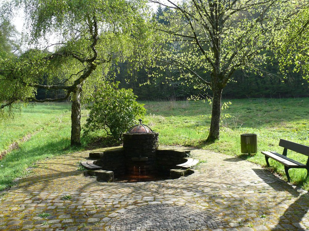 Traumschleife "Oberes Baybachtal" tskgsc