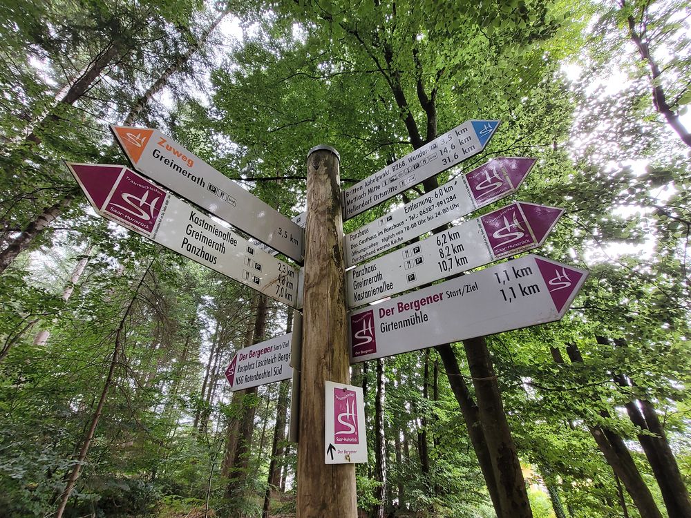 Saar Hunsrück Steig   04