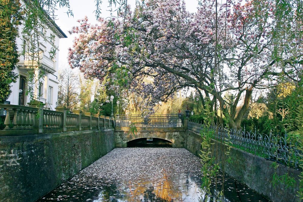 Schlosspark v4eykj