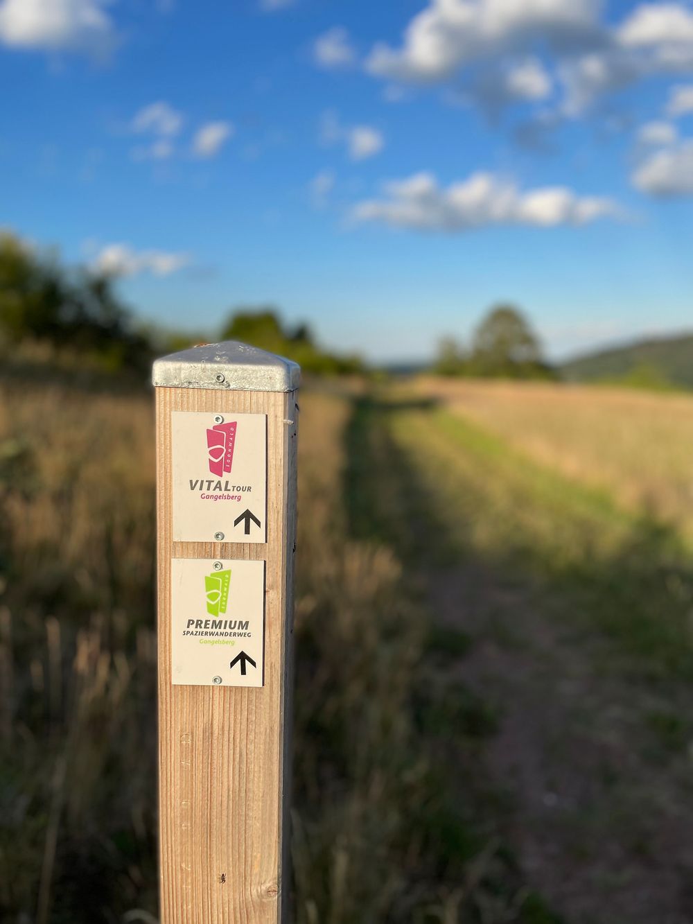 Premium Spazierwanderweg Gangelsberg v3u88o