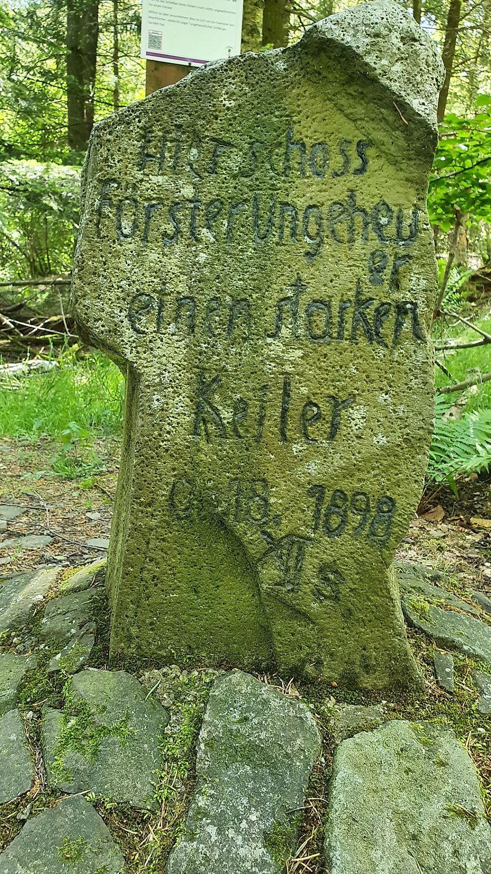 Traumschleife Bärenbachpfad Baumholder tpzj28