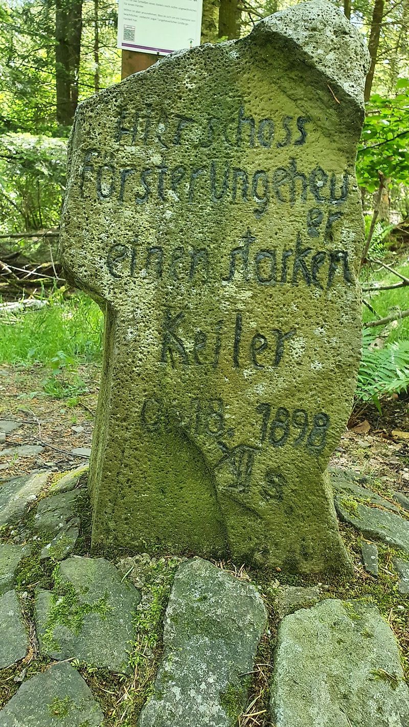 Traumschleife Bärenbachpfad Baumholder tpzj28