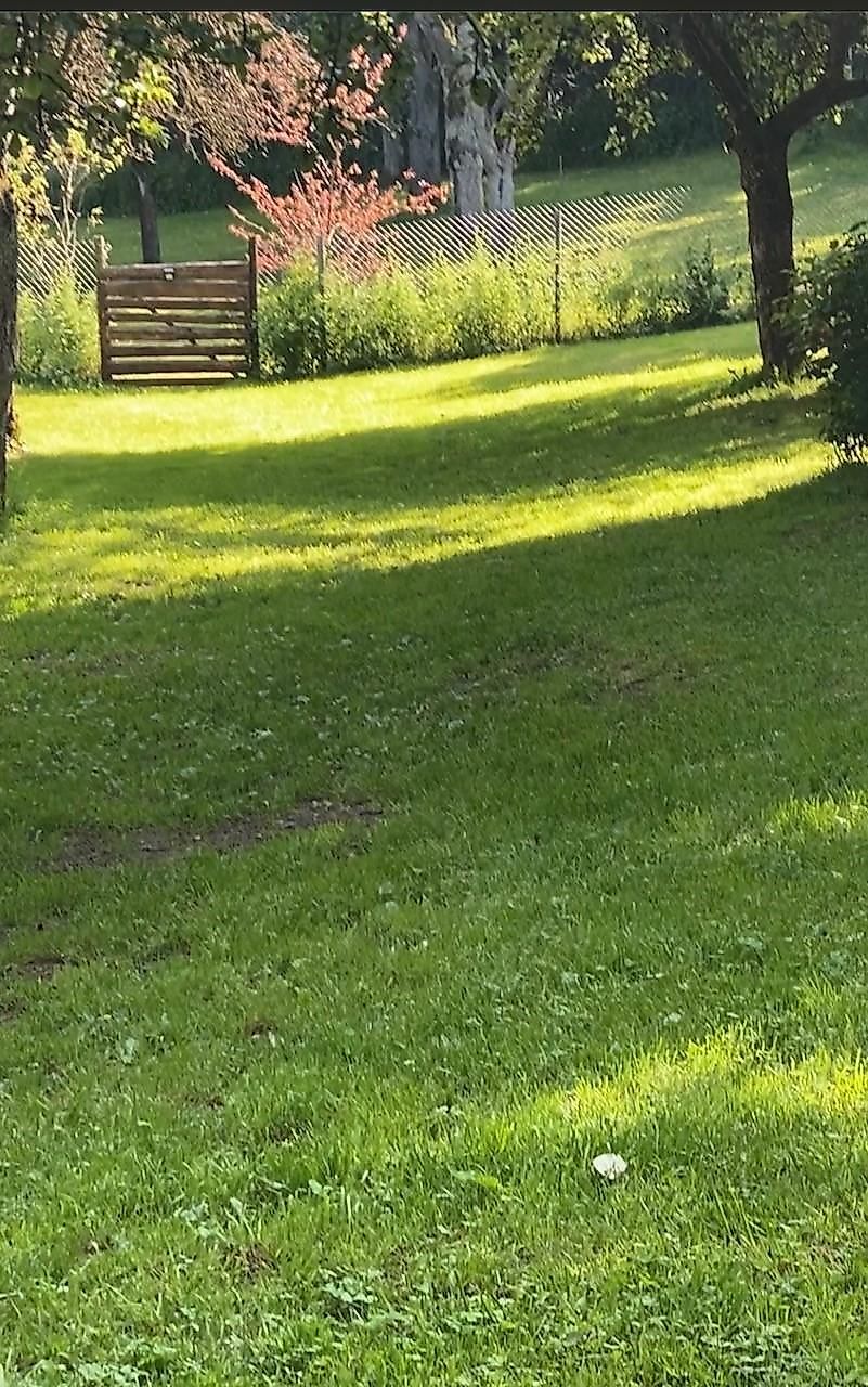 Tierpension Danner tr79ur