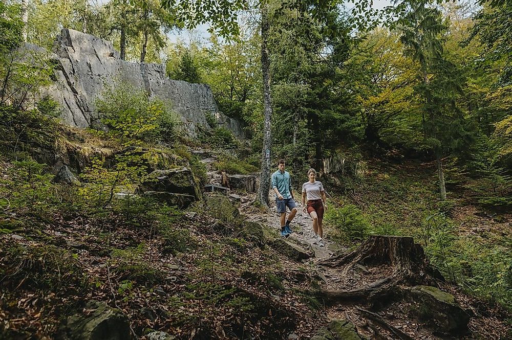 Saar Hunsrück Steig   05