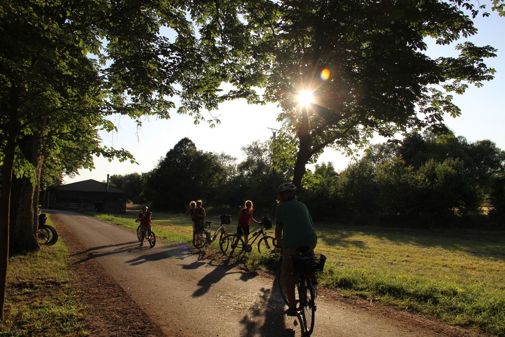 Guldenbachradweg tpadnq