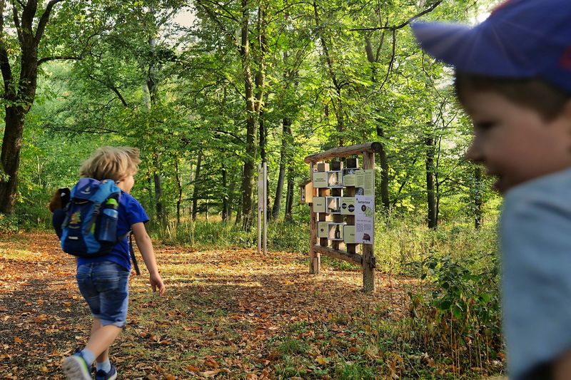 Rottentour im Langenlonsheimer Wald   OFFIZIELLE WEGBESCHREIBUNG! v38uxy