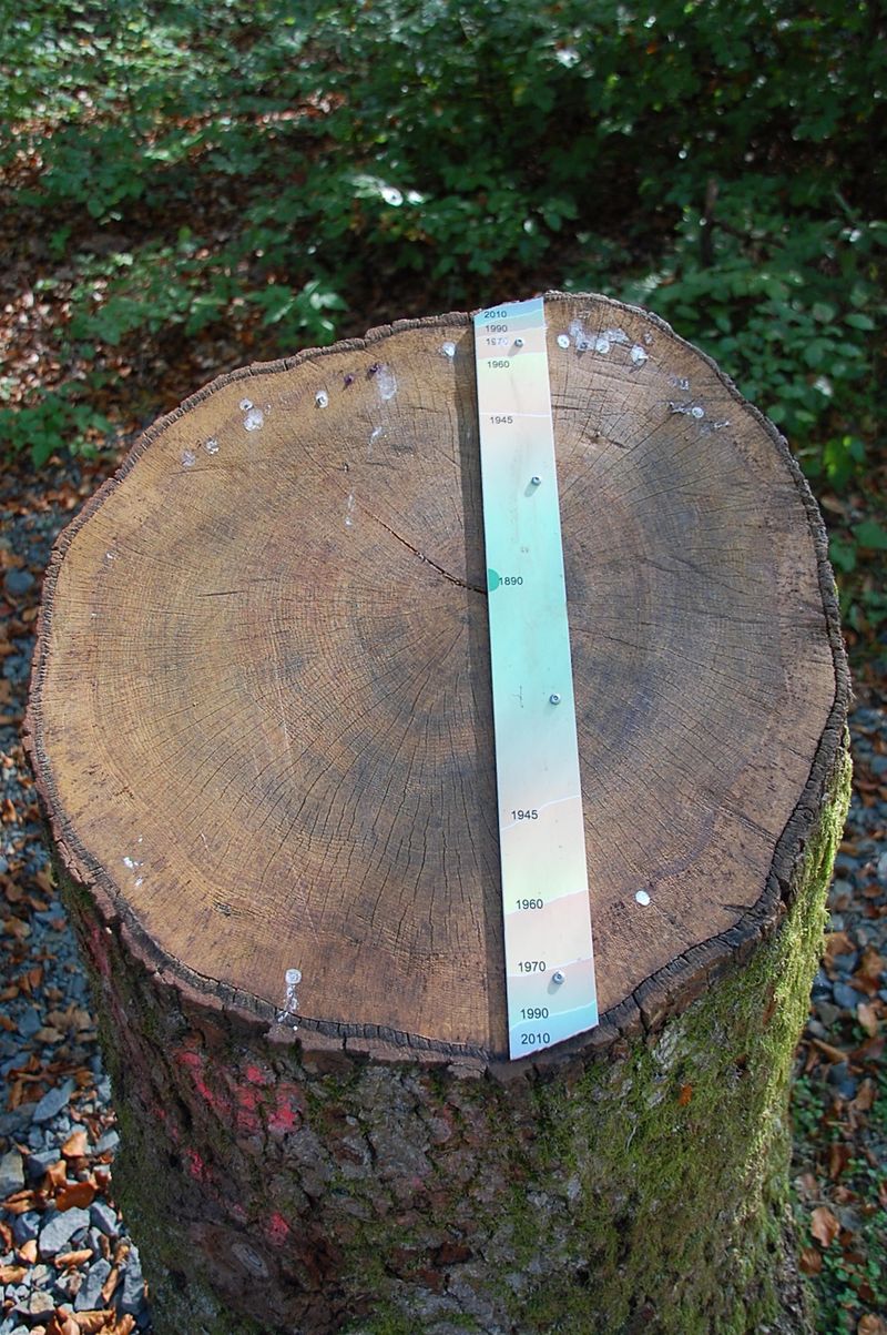 HermesKEILER Naturerkundungspfad v1vhja