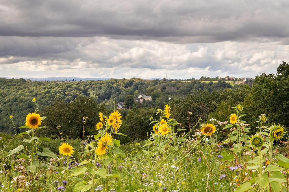 Aussichtspunkt in Ney mit Blick aufs Schönecker Schloss v1t0qr