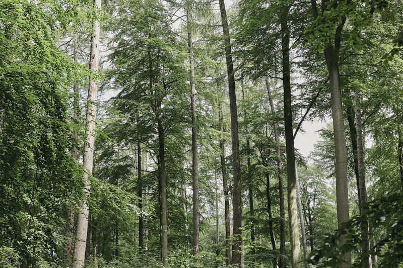 events/buergerwanderung-aaf3
