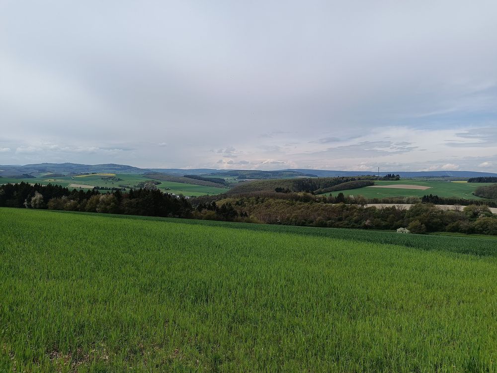 Rundwanderweg Hildebrechts Heimat tfndkk