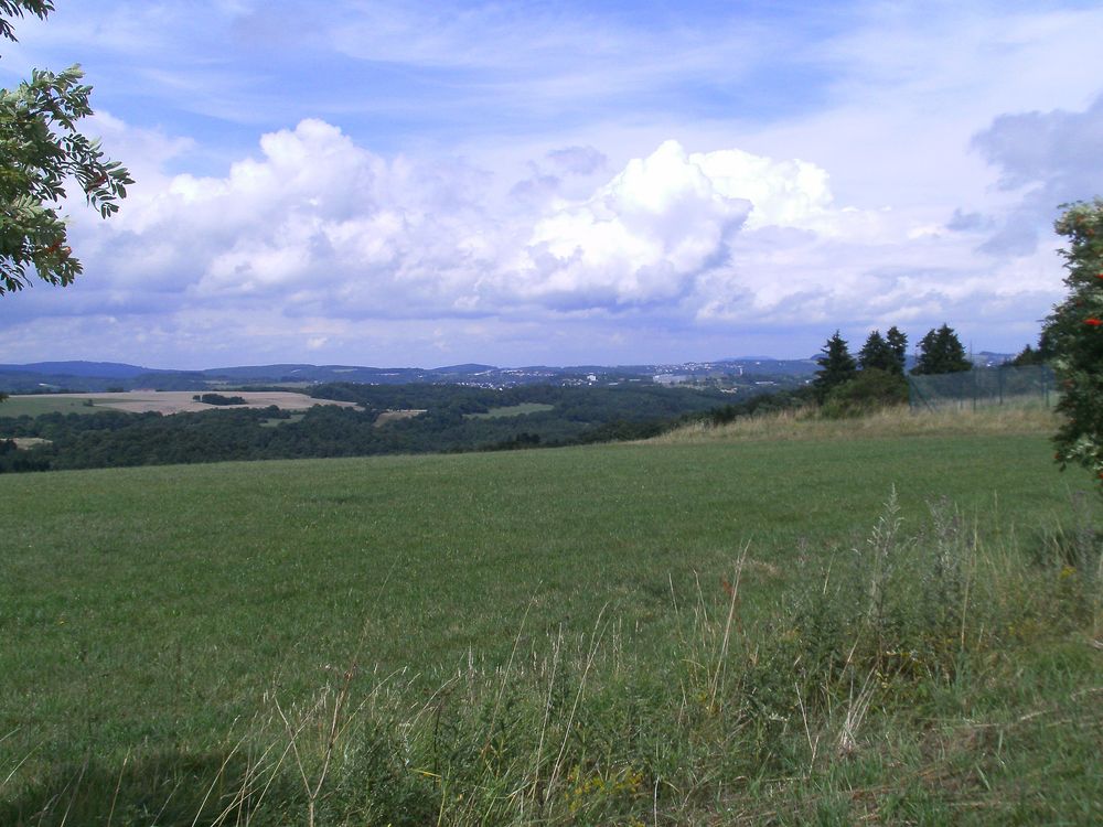 Von der Brombacher Höhe ins Nahetal (längste Runde) tg6ba5