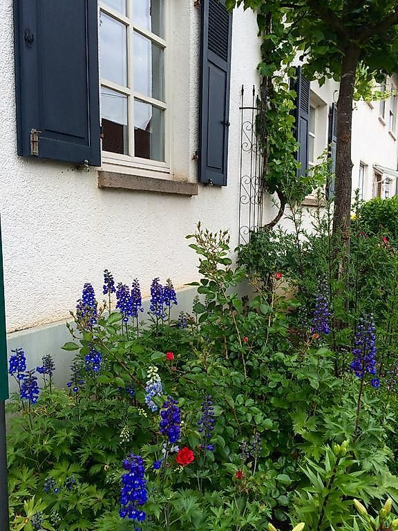 SEELIG's Ferienwohnung tg2hke