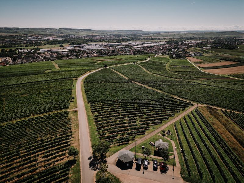 Vitaltour "Wald, Wein & Horizonte" tf535s