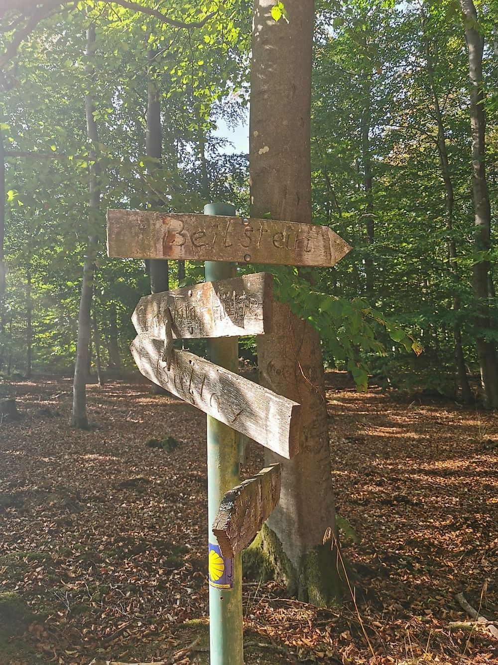 Pissamann Rundwanderweg Zell Merl tf495x