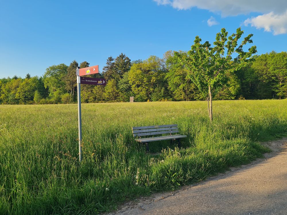 Kirchspiel Wanderweg rund um Blankenrath tcum0h