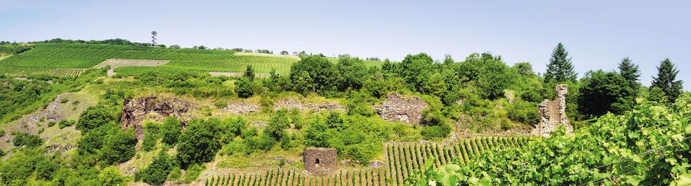 Weinwanderweg Rhein Nahe   Etappe 3: Staudernheim   Niederhausen tbpxme
