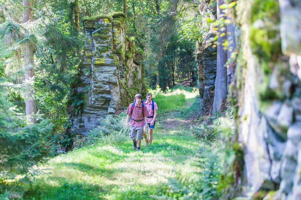 Traumschleife Rockenburger Urwaldpfad szyeyk