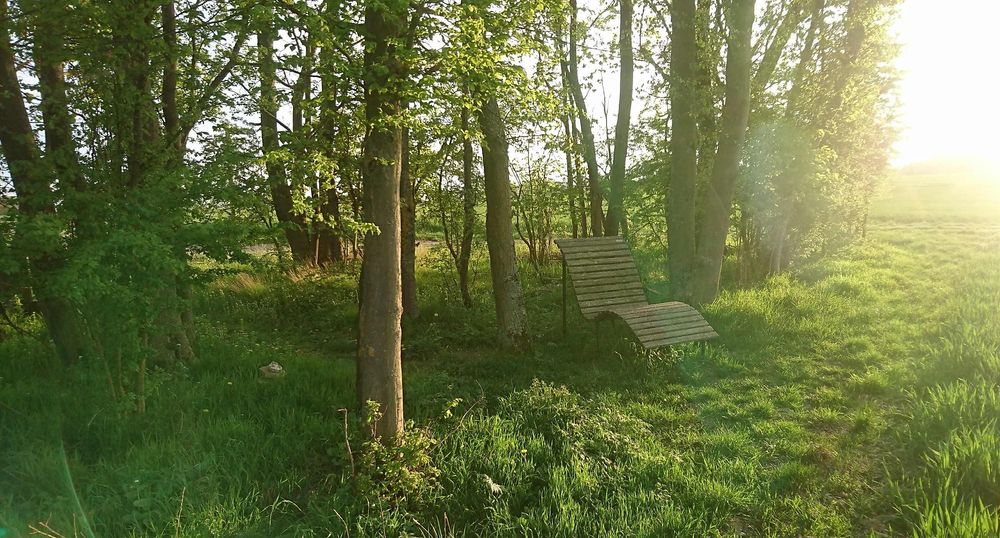 Ehrbachblick sxkxor