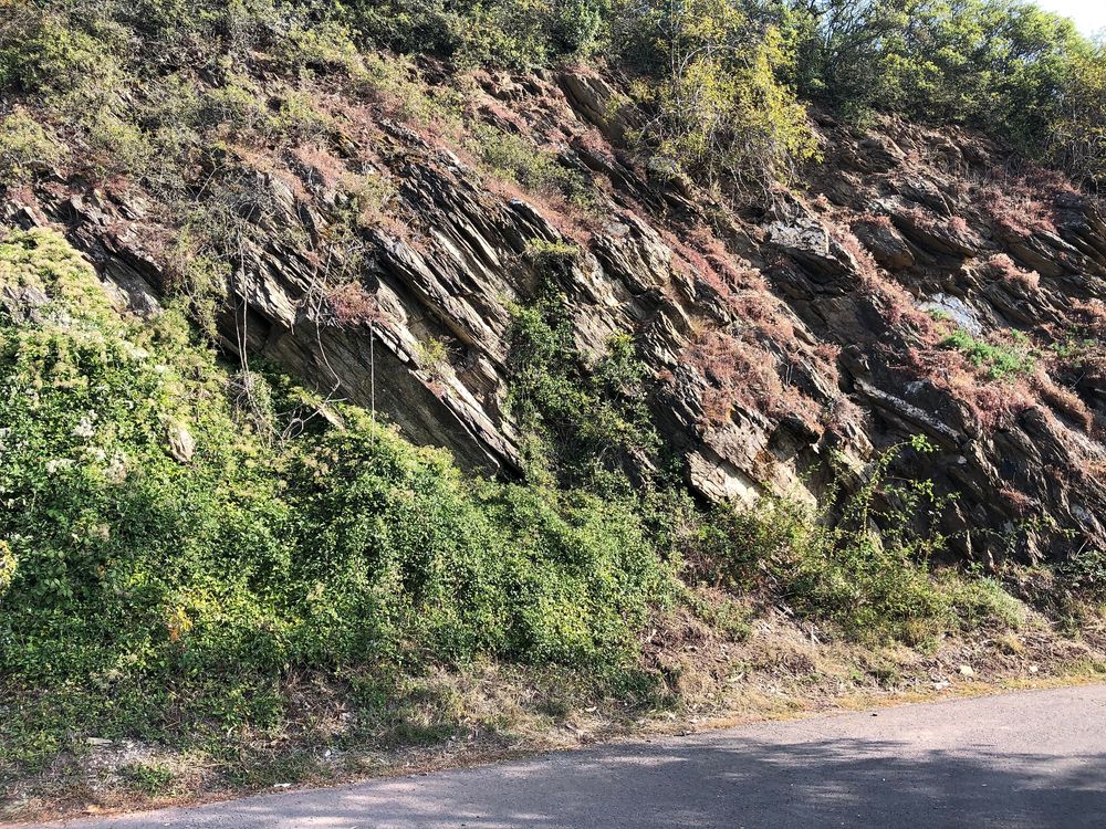 "Pissamann" Weinlehrpfad Zell Merl u9lg0x