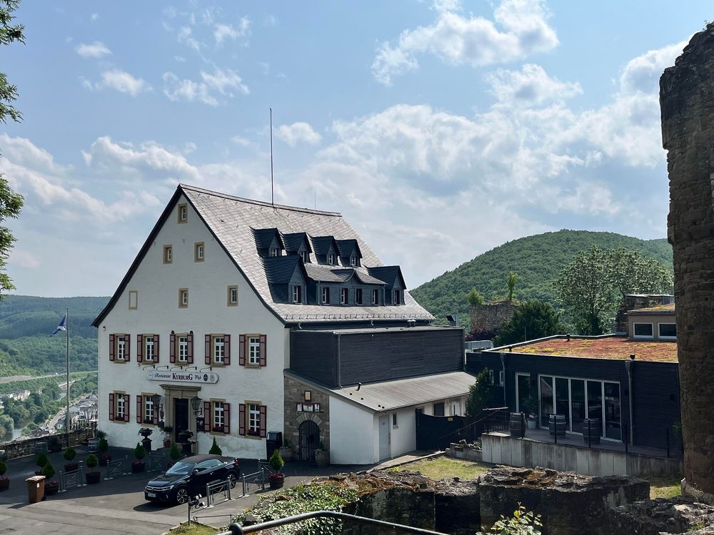 Ausblick am Mammutbaum svmgl5
