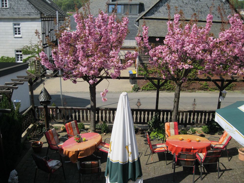 Gasthaus Gräff u7q168
