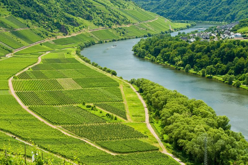 touren/weinlehrpfad-puenderich-4487