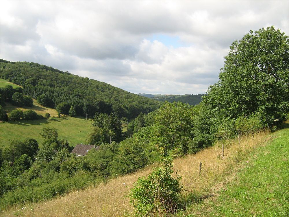Römerstich u5a8o8
