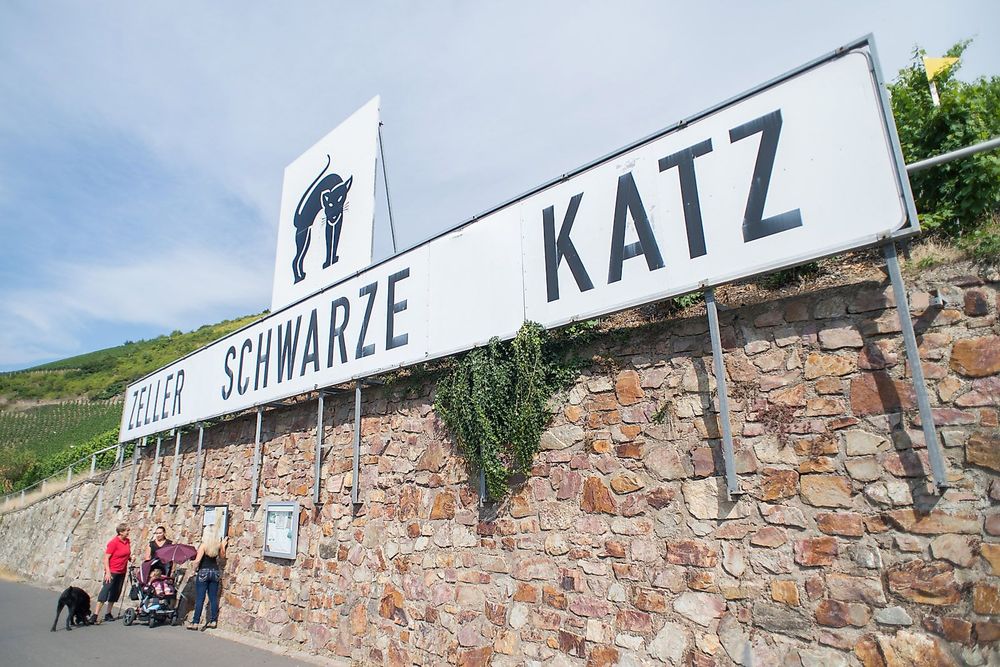 "Zeller Schwarze Katz" Themenwanderweg u67a9y