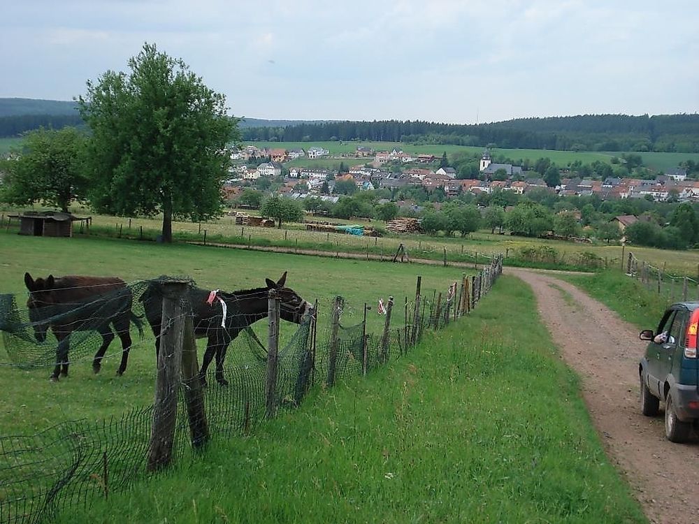 RuT 3   Rundwanderweg bei Greimerath st3b5o