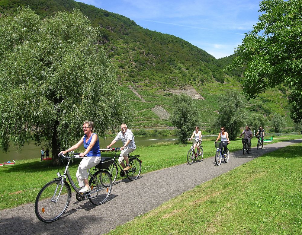 Mosel Radweg Zell (Mosel)   Cochem u56404