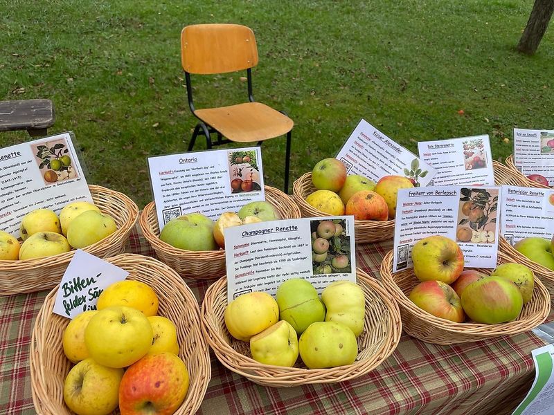 Garten  und Pflanzenmarkt u3jwpw
