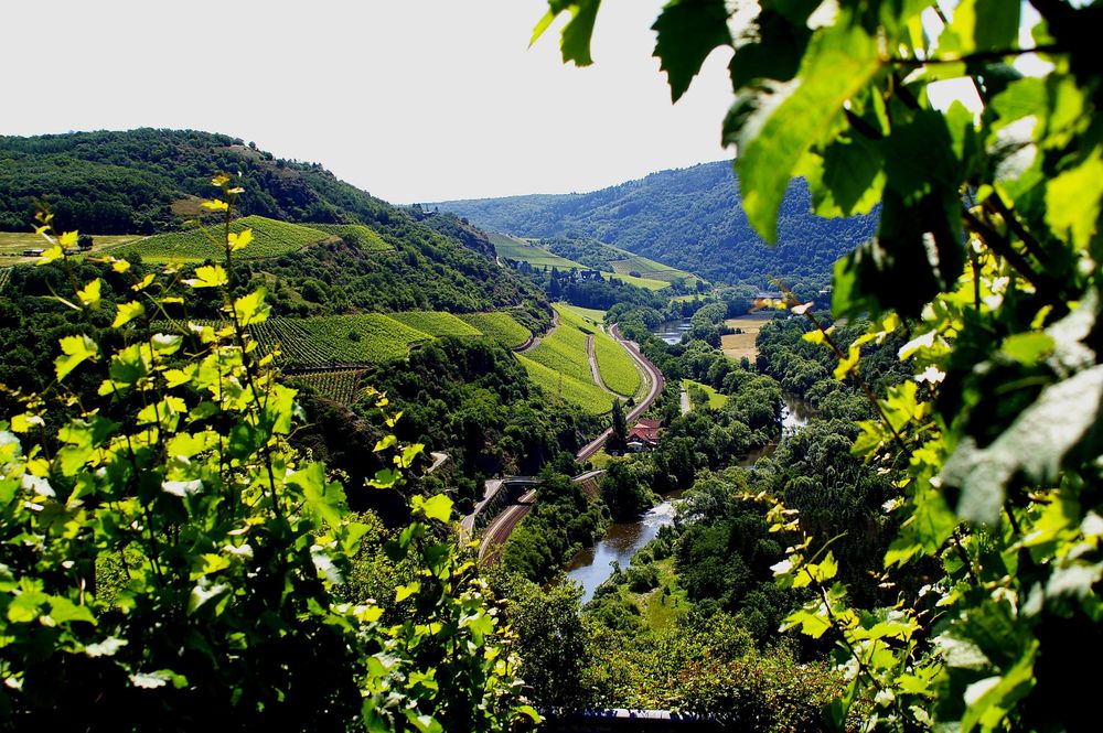 Waldböckelheimer Rundweg "Naheblick" u3dj1t