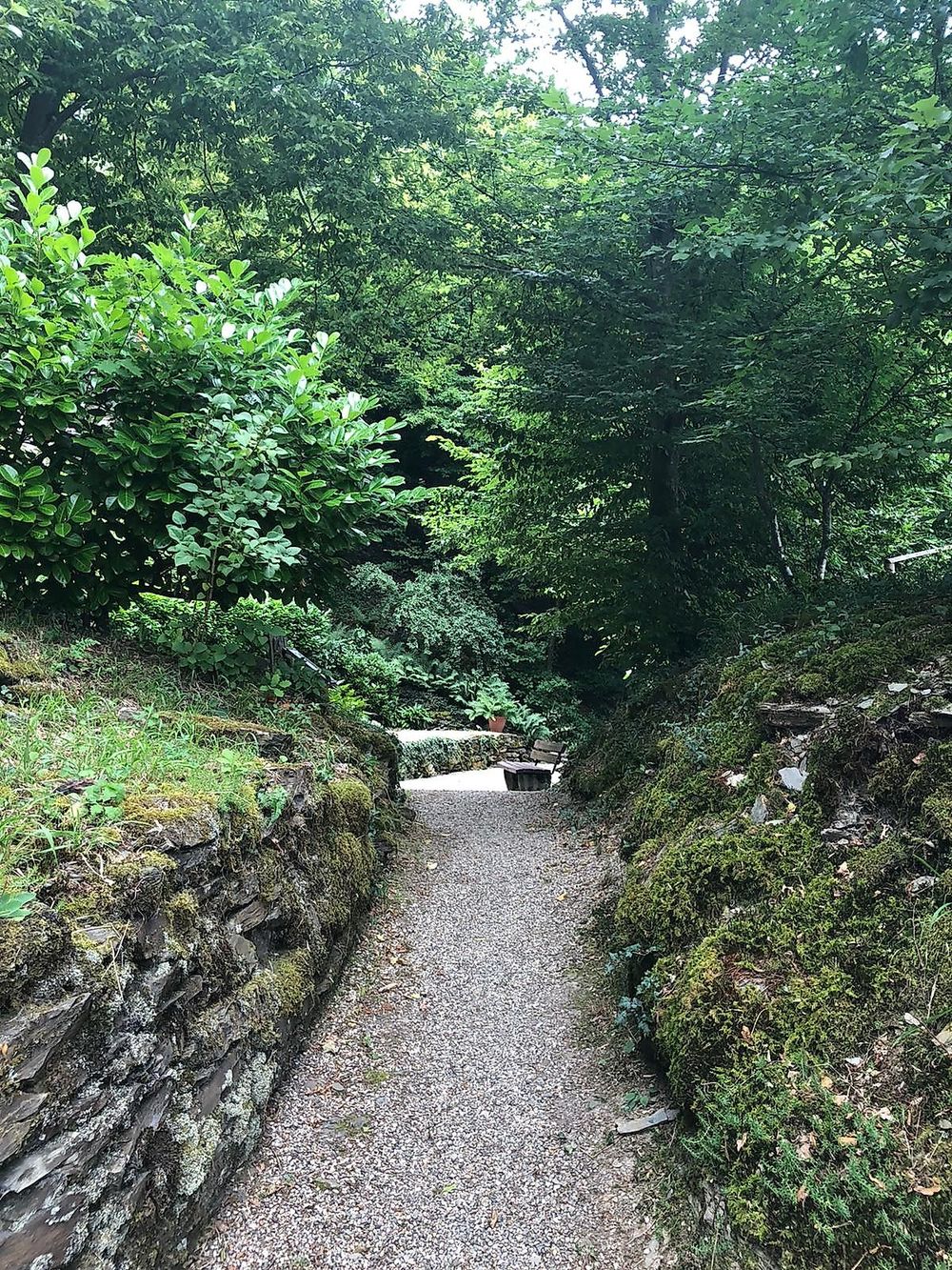 Rundwanderweg „Liebesschlucht“, Zell (Mosel) spsdrm
