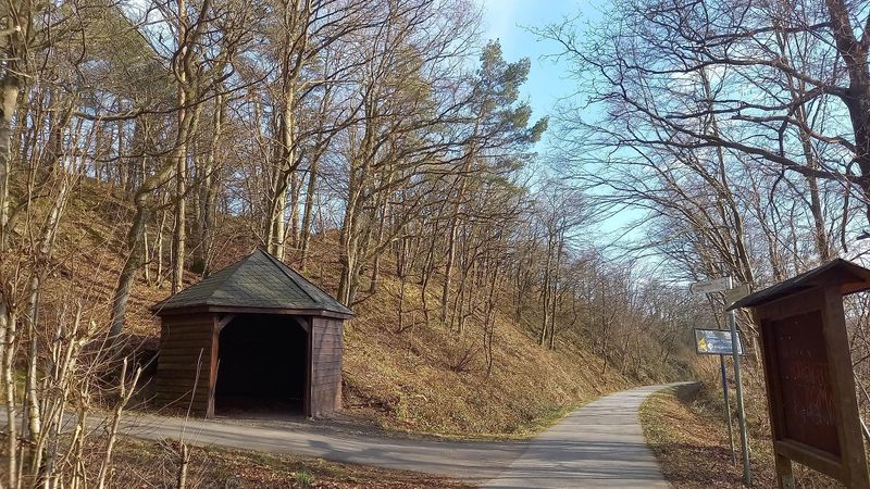 Schutzhütte am Schinderhannesradweg sozm93