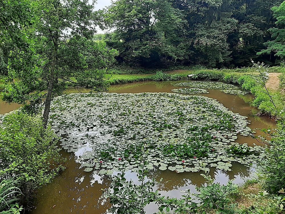 5 Weiher Tour u1wk4d