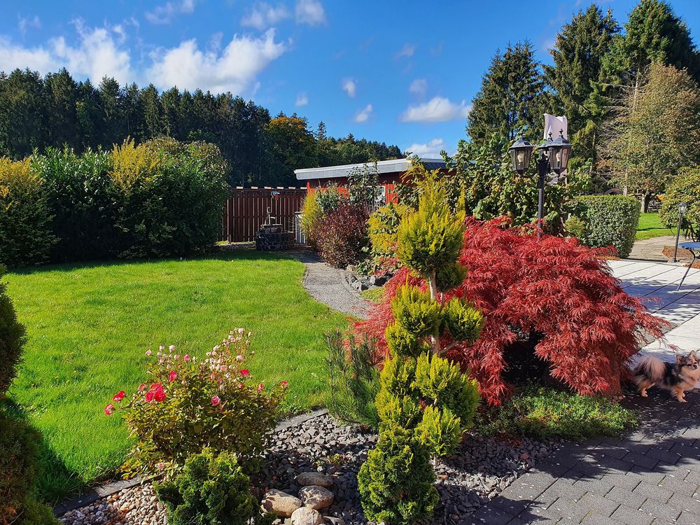 Ferienwohnung "Urlaub im Hunsrück" sl8czp