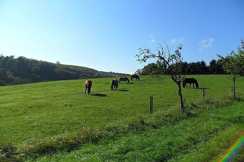 Traumschleife Litermont Sagenweg sju2pt