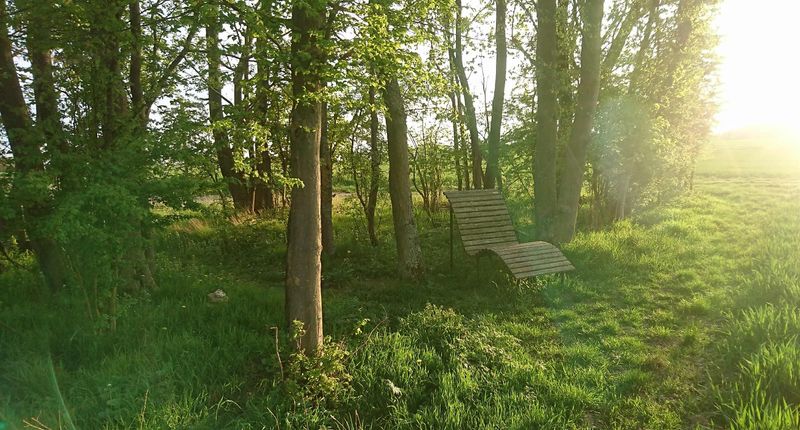 Ehrbachblick sg6pws