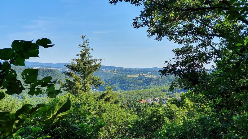 pois/aussichtspunkt-wildelei-862c
