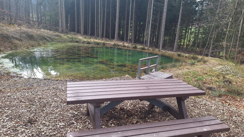 pois/himmelsteich-birkheim-5f12