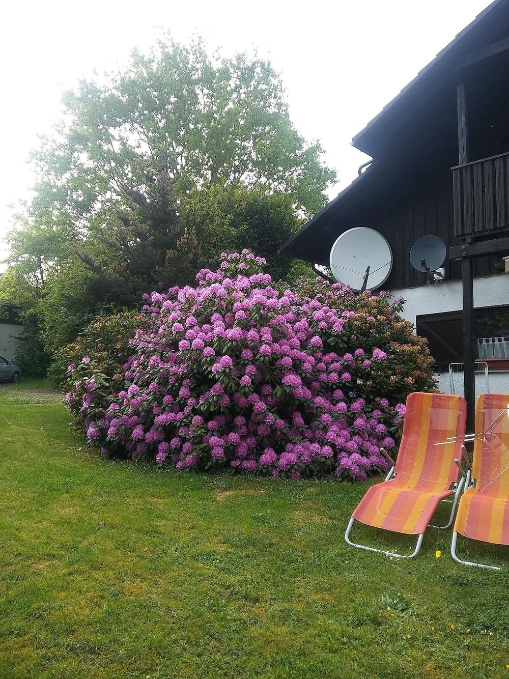 Ferienwohnung Martin sdv8qj