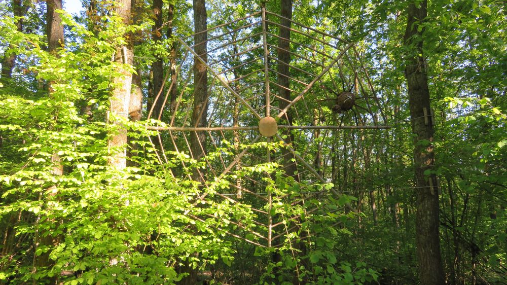 Mackenrodter Waldkunst Rundweg sdmjgs