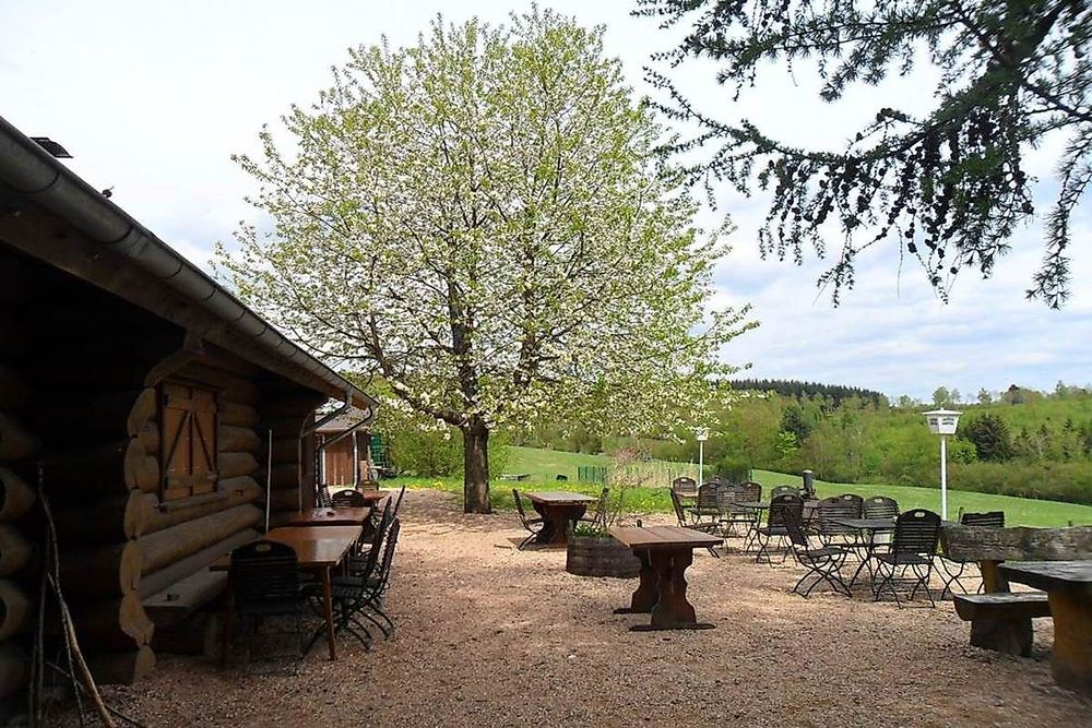 Saar Hunsrück Steig   06