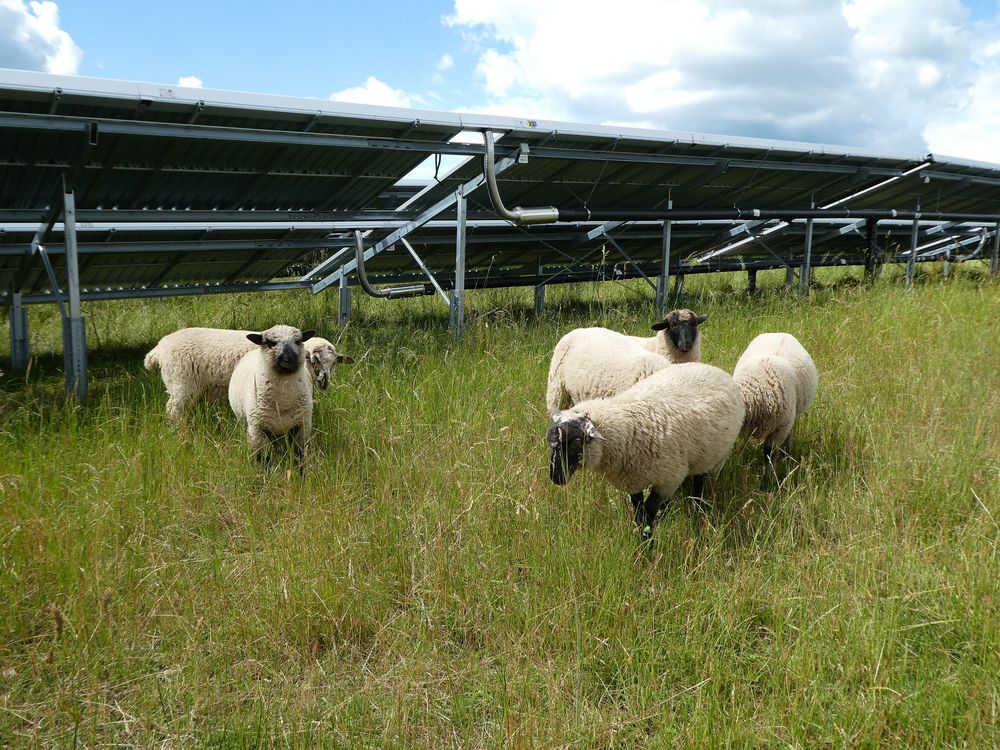 Energieweg Gimbweiler t9vqqt