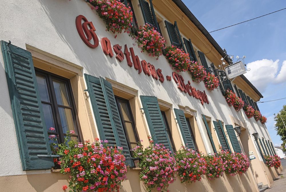 Weinhaus Hehner Kiltz rvyt0f