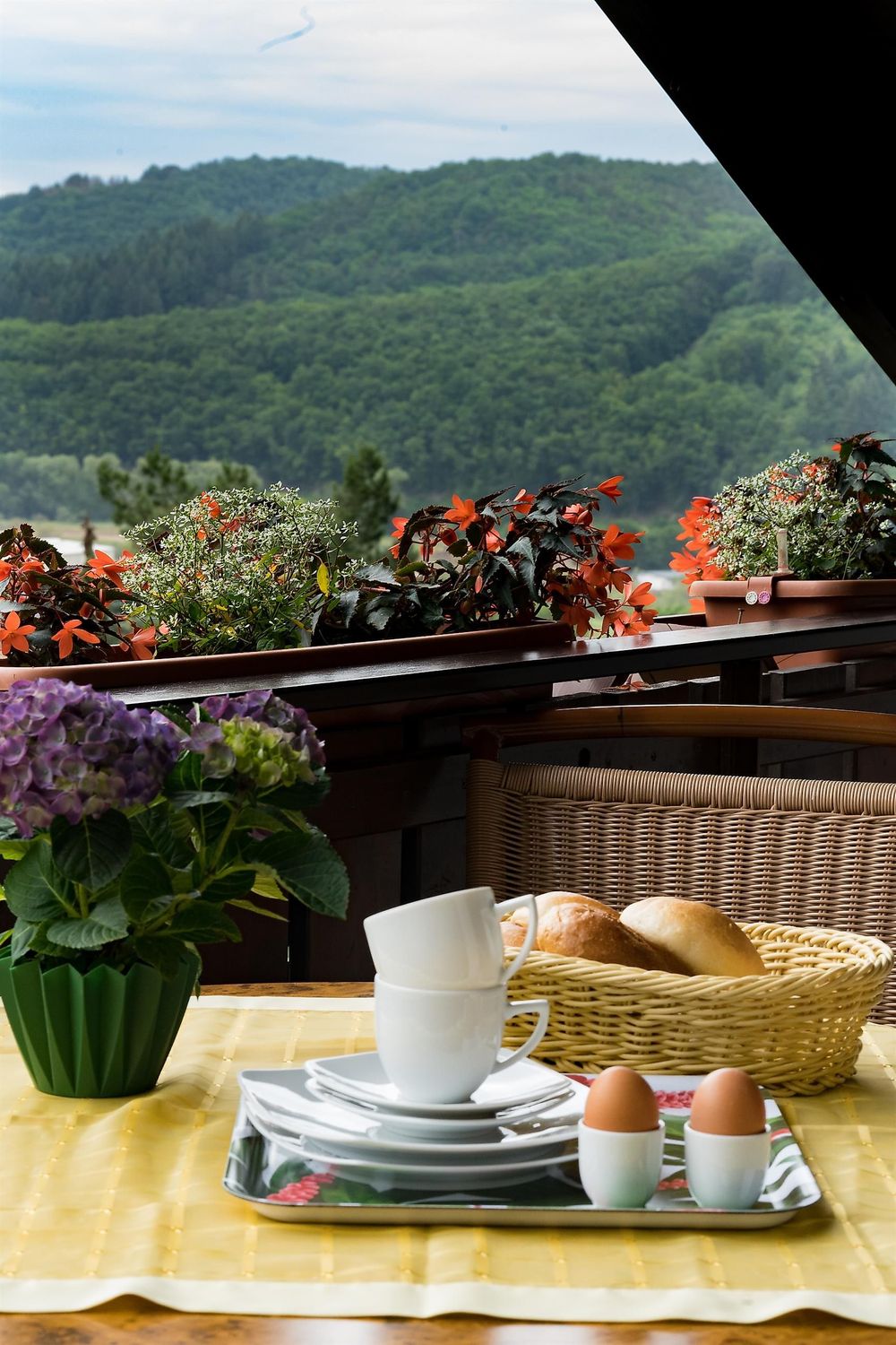 Ferienwohnung Bergwiese / Hochstetten Dhaun rvy1h0